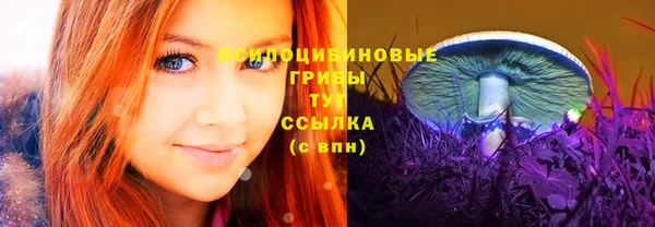 дурь Абинск