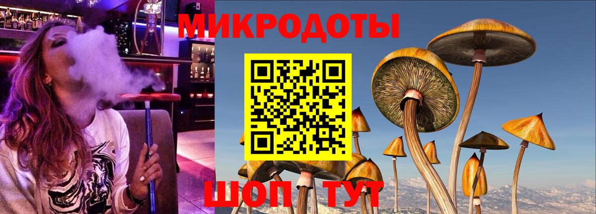 Галлюциногенные грибы Psilocybine cubensis Приморско-Ахтарск